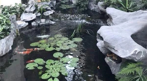 ͥԺˮʲôŵ㣿